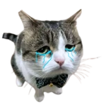 Sad Wawa
