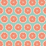 Citrus Gymnastics