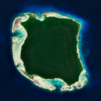 Survive in the Strange Island