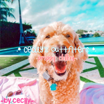 .* cecily’s outfitter's *.