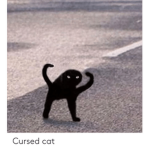 The cat is starring at you>:)