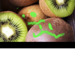 Kiwi simulator