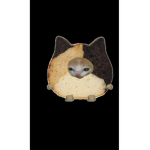 Grupo avatar de coco