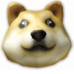 ~Team Doge~