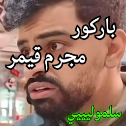 باركور مجرم قيمز سلموليي