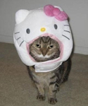 Hello Kitty Mayhem
