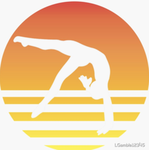 Sunshine gymnastics team
