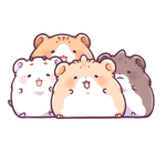 Hamster squad !!!!