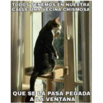 El club de el chisme