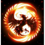 |~Order Of The Phoenix~|