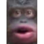 Monke baddie