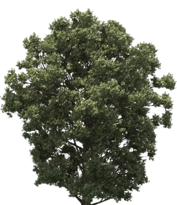 Square Two-Sided Decal