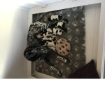 Willy ##### ###### like fishy kitty
