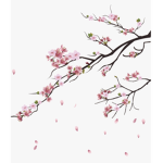 ~Falling Flowers~