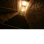 Come Live In This Wonderful Basement Luvs