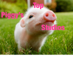 Piggy top Studio