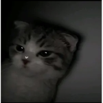 mvrder3