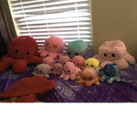 Awesome octopuses