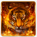 #Fire Tigers
