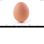 Egg Studioz