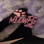 meow fg ୨ৎ