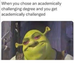 U want cringe?? To Much Memes.