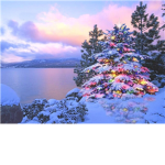 CHRISTMAS :D