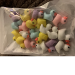 Tiny Duck Group