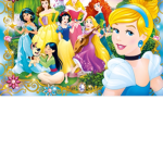 PrinsessGroup