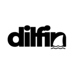 DilFin PLC