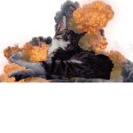 xx4267