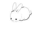 bunny clan!!