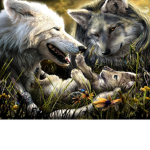 Only_Wolfs