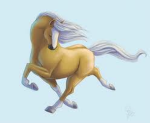 Pony protector