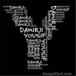 YouisfDamirji's fans