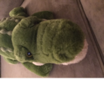 Dino!!!'