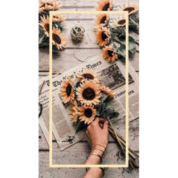Photos •^•