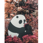 Pandasquadfurever