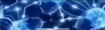 The 1000IQ group