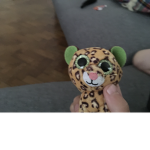 Leopard kingdom