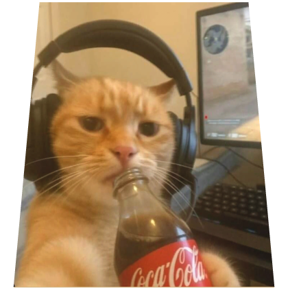 Gaming Cat Meme Cape