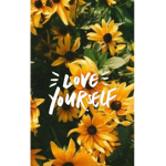 ~SunFlowers…Love urself~