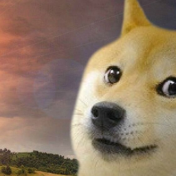 🐶