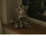 Snow-leopard group