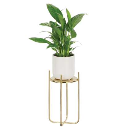 Square Decal
