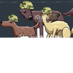 The Stray Dogs