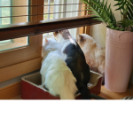 호우우우우우우우우주