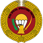 Iraq Special Operations Forces [ISOF]