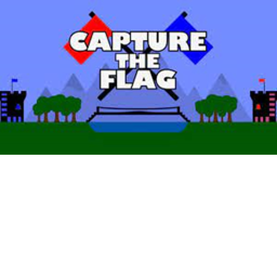 Low Budget Capture the Flag