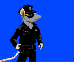 police city